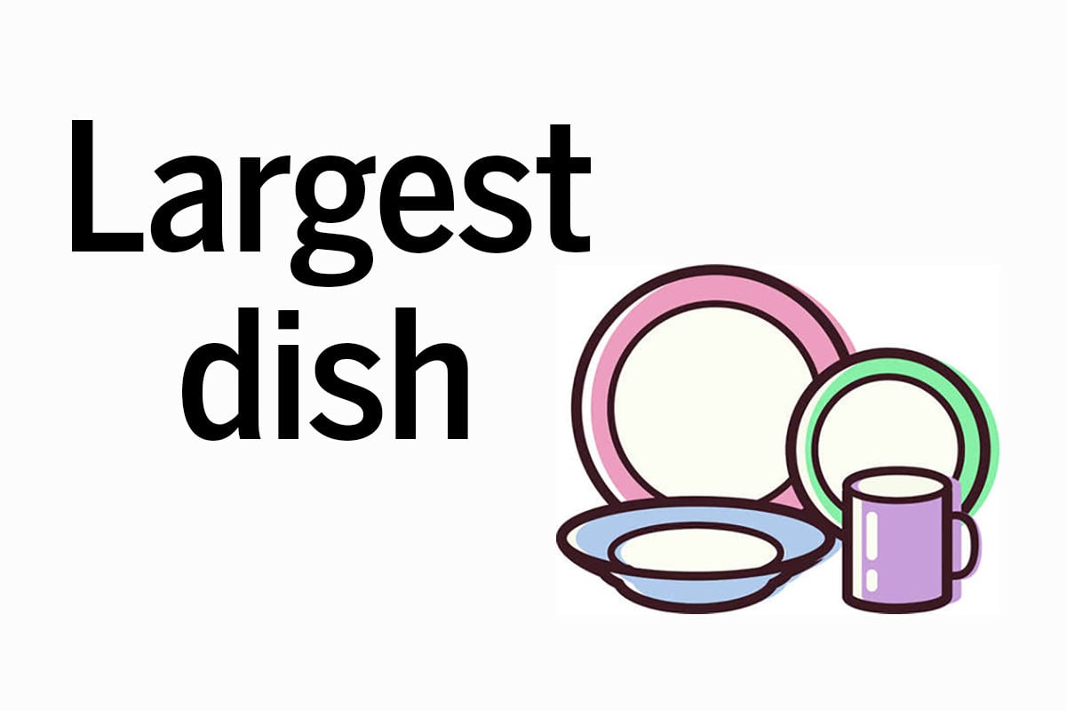 Largest dish ever washed
